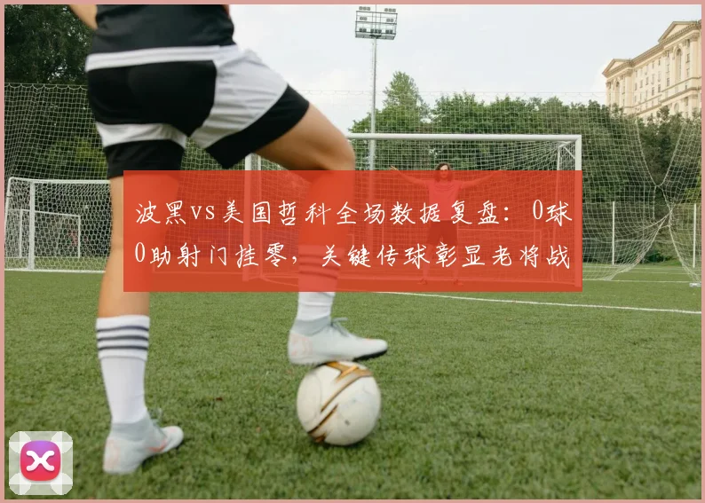 波黑vs美国哲科全场数据复盘：0球0助射门挂零，关键传球彰显老将战术价值